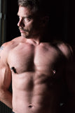 Tom of Finland Magnetic Screw Nipple Clamps