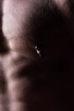 Tom of Finland Magnetic Screw Nipple Clamps