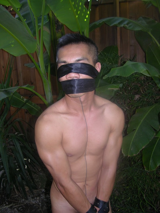 Rick Castro, THE PLEASURE GARDEN, (2019)