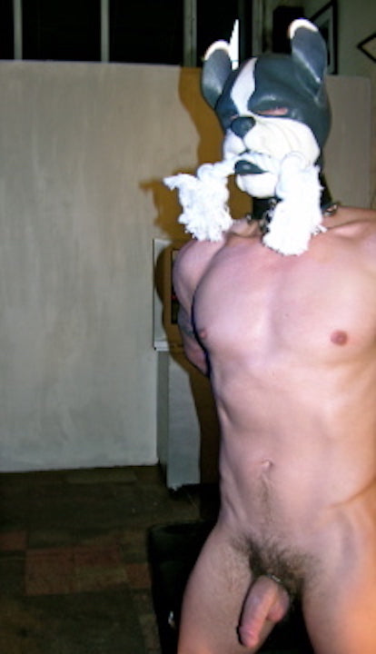 Rick Castro, MY PUP, (2010)