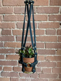 Mini Harness Leather Plant Hanger by Puritan Candy