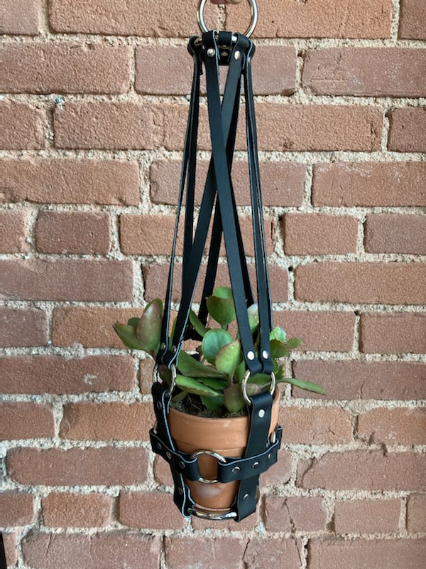 Mini Harness Leather Plant Hanger by Puritan Candy