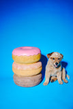 Giant Donut Stool by Third Drawer Down