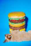 Giant Hamburger Stool by Third Drawer Down