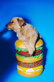 Giant Hamburger Stool by Third Drawer Down