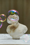 Oxballs Meat Padded Cockring Clear