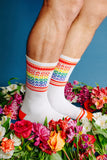 CHICAGO GEO-GAY SOCKS