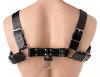 English Bull Dog Harness  by Strict Leather