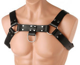 English Bull Dog Harness  by Strict Leather