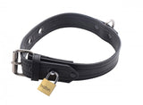 Luxury Locking Collar by Strict Leather