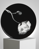 ROBERT MAPPLETHORPE "Poppy" PLATE