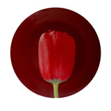 ROBERT MAPPLETHORPE "Red Tulip" PLATE