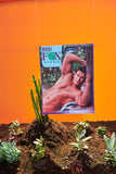 Vintage Fox Studio 1993 Wall Calendar