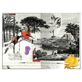 Christian Lacroix Paris Exotisme A5 NOTEBOOK