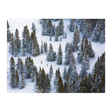 Gray Malin The Snow Double Sided 500 Piece Jigsaw Puzzle