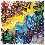 Rainbow Butterflies 500 Piece Jigsaw Puzzle