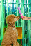 XXX PUPPY TOY: Bunny Vanderpup (Rabbit Vibrator)
